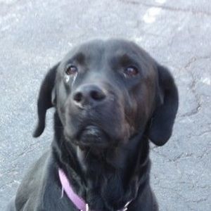 Meet your Posher, Lexie